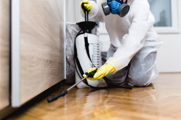  Center, TX Pest Control Pros