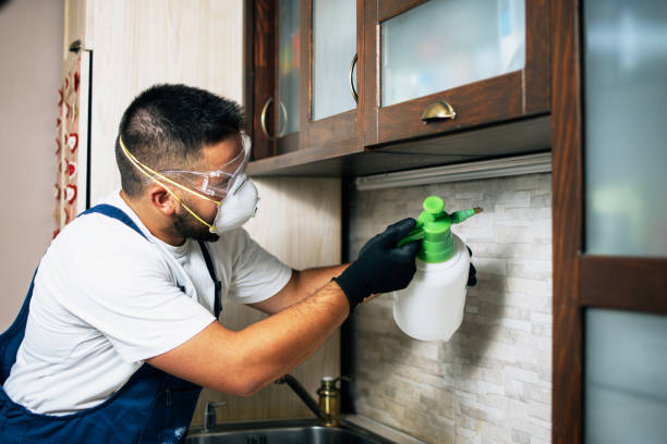 Pest Prevention Services in Center, TX