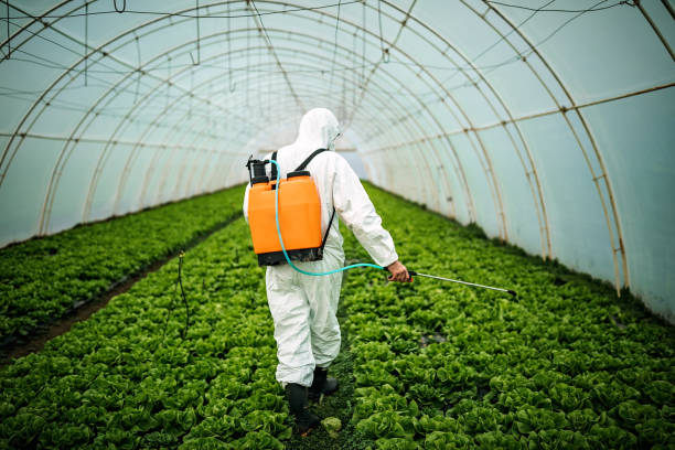 Best Pest Prevention Services  in Center, TX