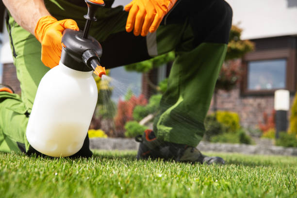 Best Bed Bug Extermination  in Center, TX