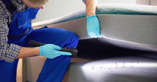 Best Termite Control Services  in Center, TX