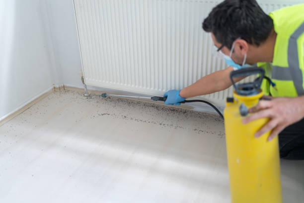 Best Flea Control Services  in Center, TX