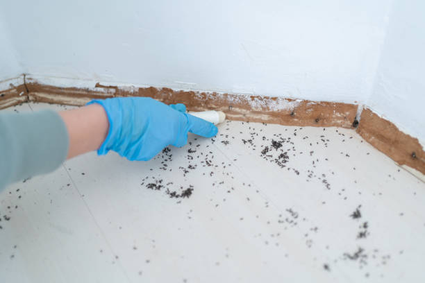 Best Wildlife Control Services  in Center, TX