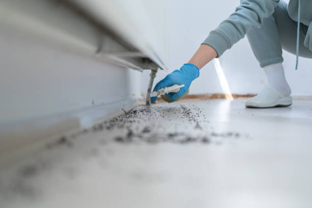 Best Residential Pest Control  in Center, TX