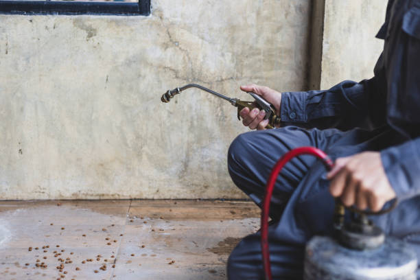 Best Pest Control Near Me  in Center, TX